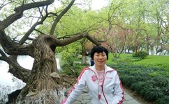 长成参天大树直播